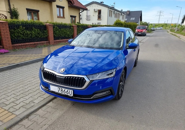 Skoda Octavia cena 108998 przebieg: 53000, rok produkcji 2020 z Sosnowiec małe 781